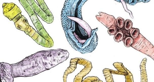 Parasiten